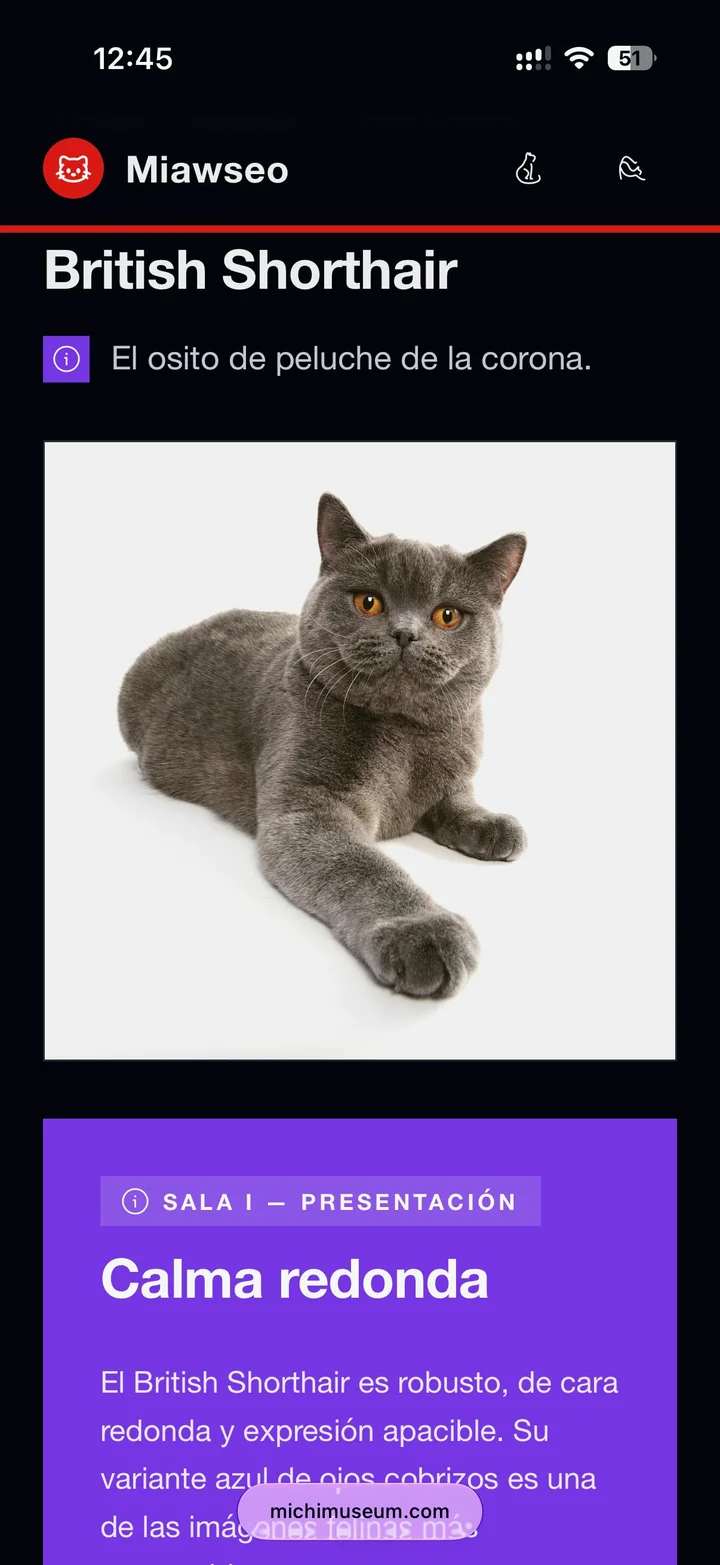 Ficha del British Shorthair con sala de presentación editorial.