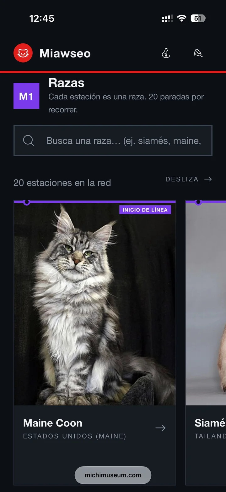 Línea M1 de razas con buscador y veinte estaciones para deslizar.
