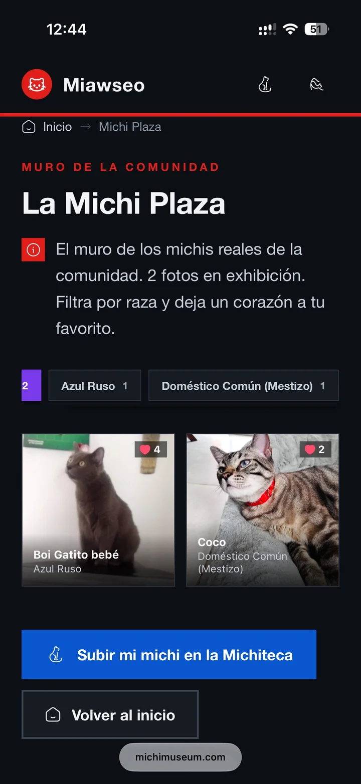 Michi Plaza: muro comunitario con filtros por raza y corazones.