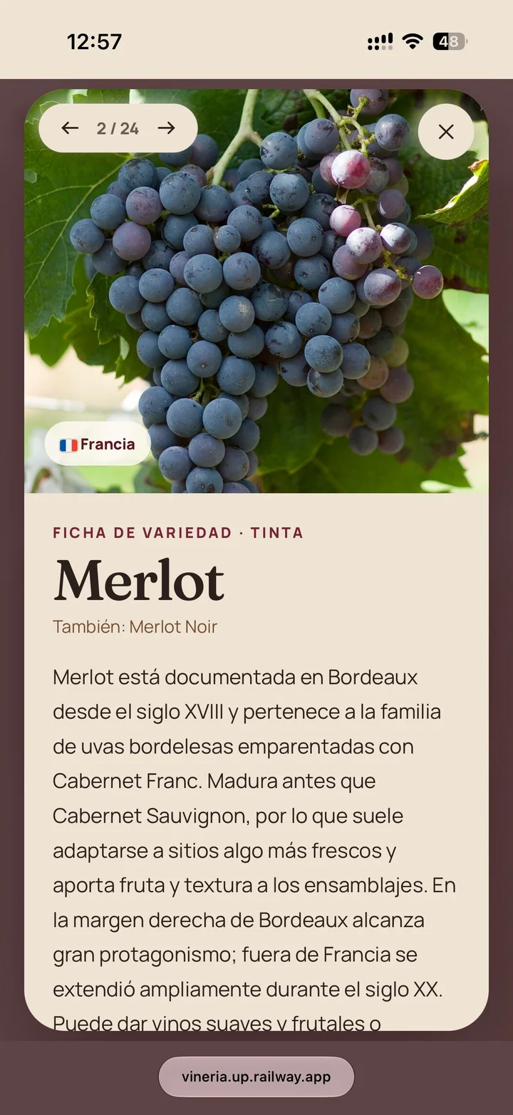 Ficha de Merlot, 2 de 24, con origen, alias e historia de la variedad.