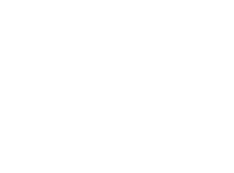 La Carnicería Virtual